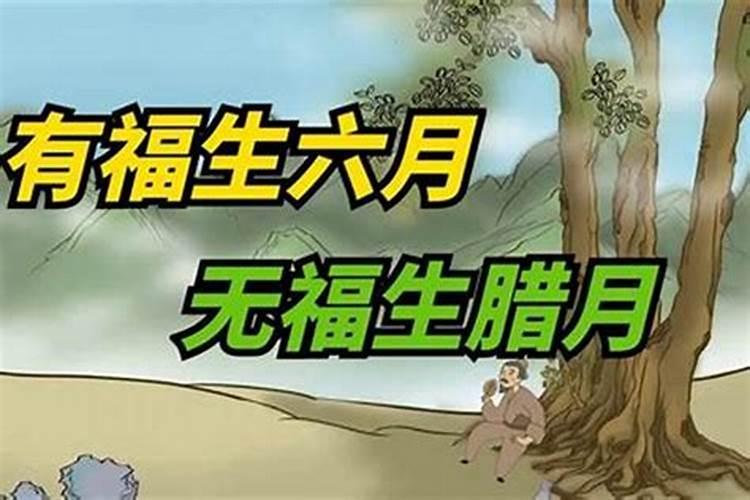 99年属兔2023到2025将来三年运势好吗 运程剖析？
