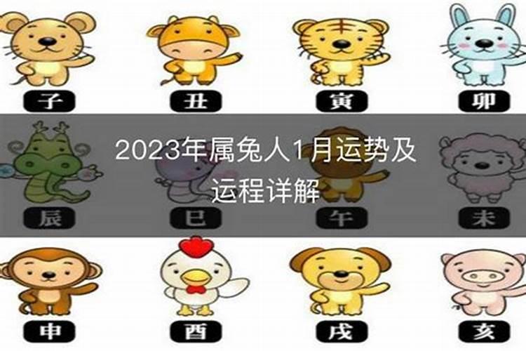 9月属兔的人命好吗属兔九月份出生的命运怎么样