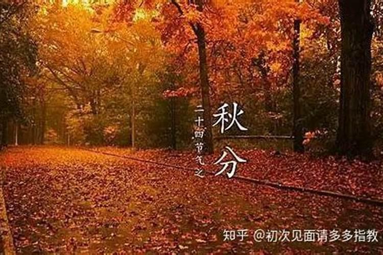 冬至前一天为啥叫绝日