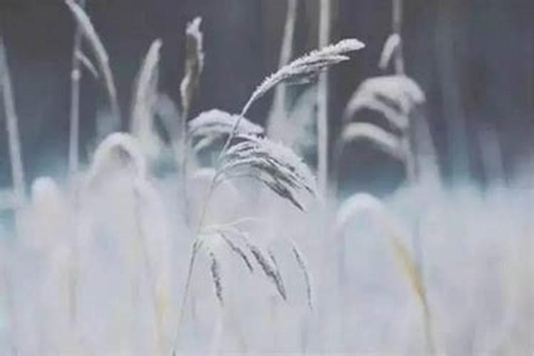 阴历十月初一有什么讲究？