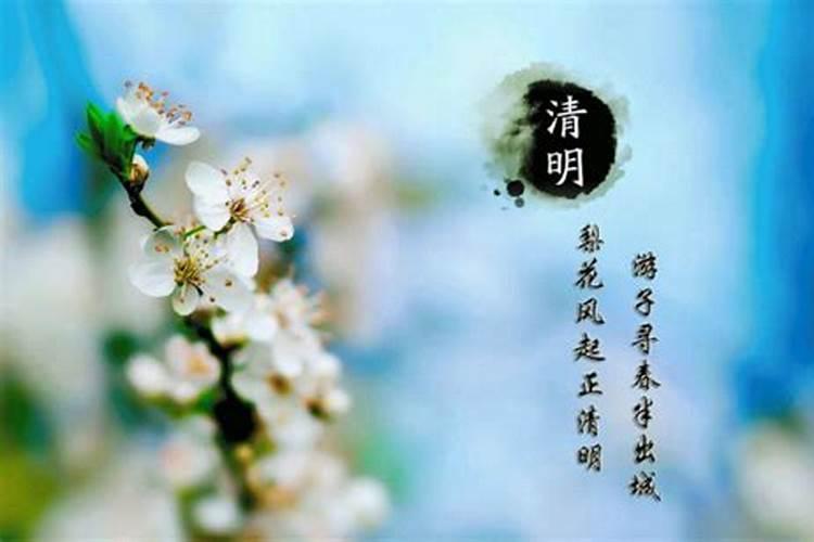 人们于清明节寄托的祝愿和情感是如何体现的？