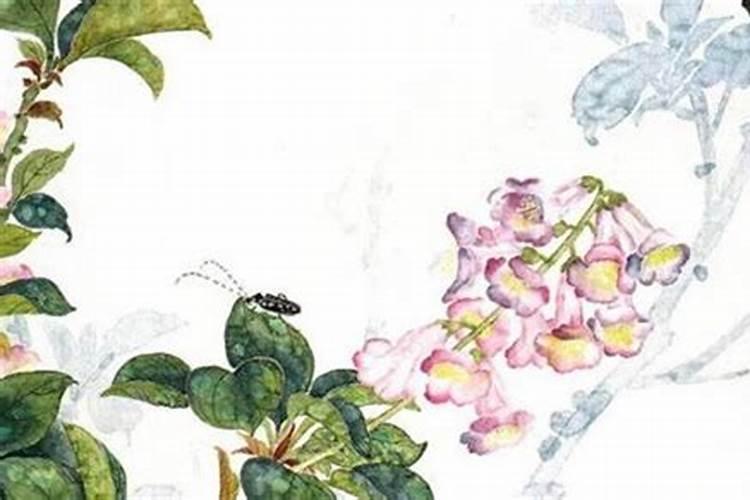 合婚最重要是哪个柱