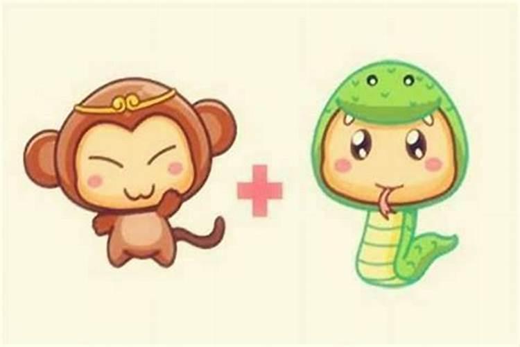 梦见壁虎爬到自己身上
