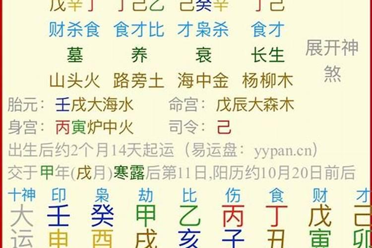 己巳年,甲戌月,丙辰日,戊戌时？