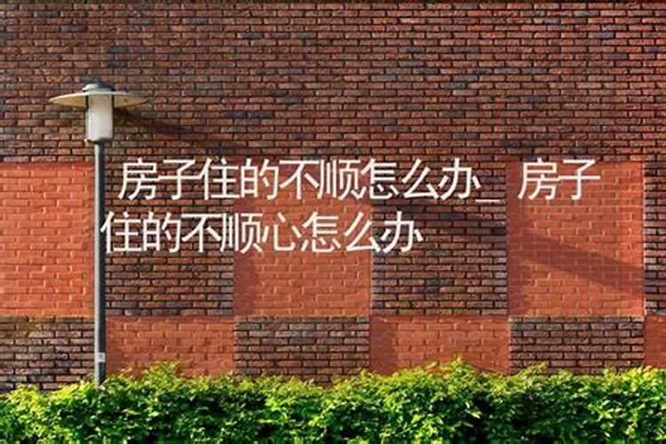 尾牙出生的男孩命运好不好 中年可得发达命？