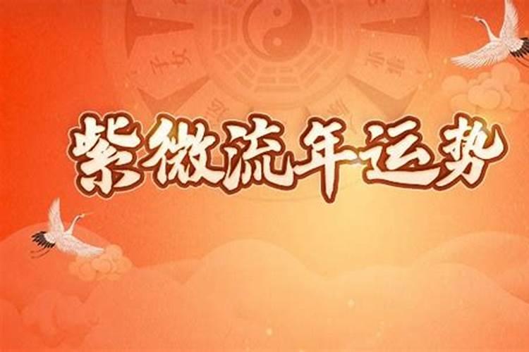 流年比食运是什么意思