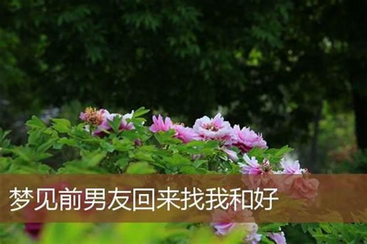 属牛的和什么属相最配、相克