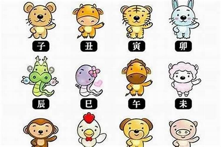 94年属狗的是什么命
