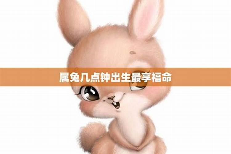 属兔的几点出生比较好