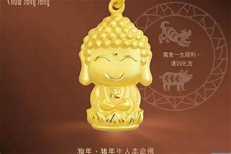 什么属相养狗好