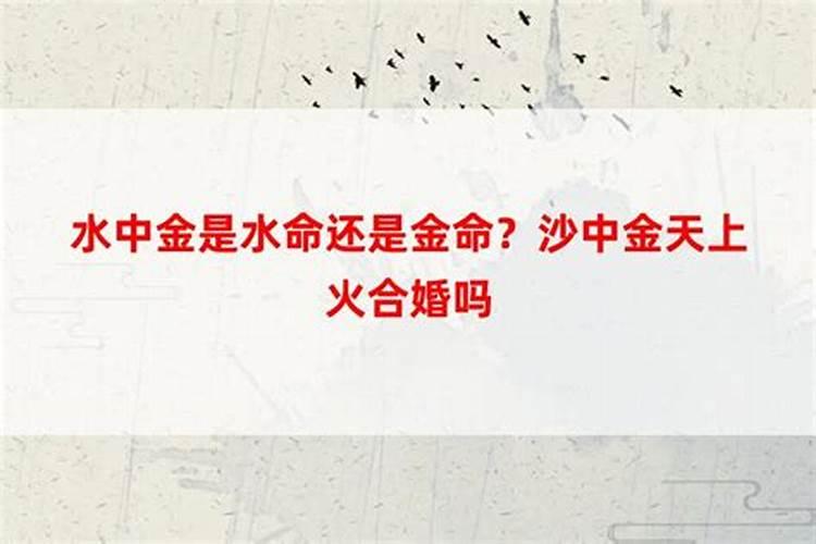 八字合婚 白蜡金命和大海水命婚配好不好？