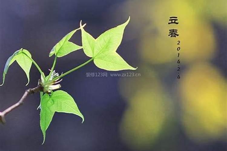 佛家香左边香中途熄灭是什么预示？