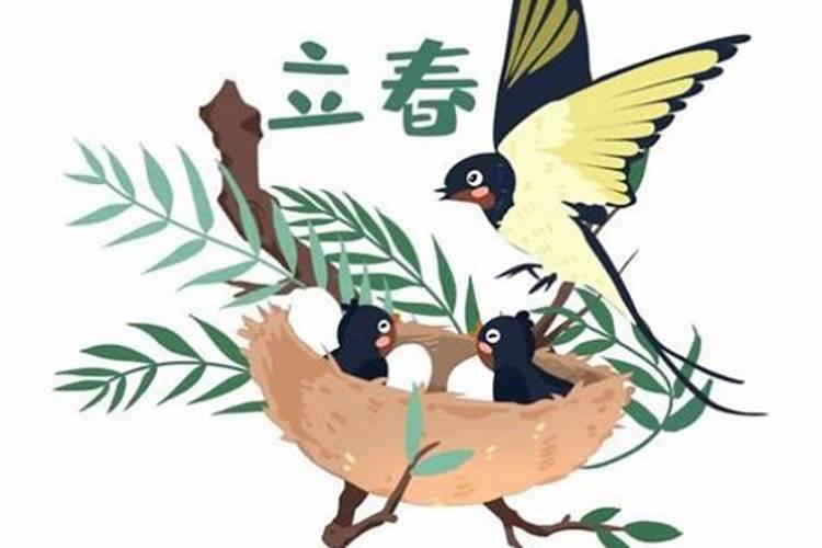大师帮我算一下命运吧