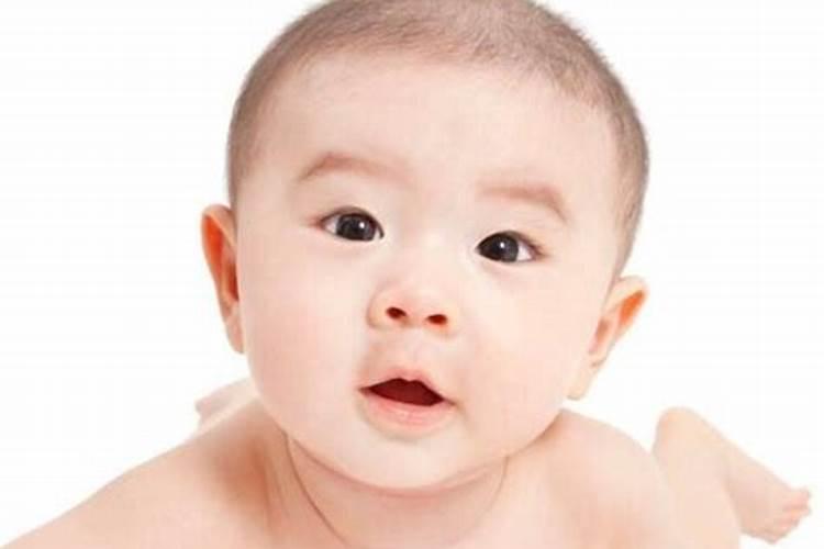 姓高的男孩名字大全属虎