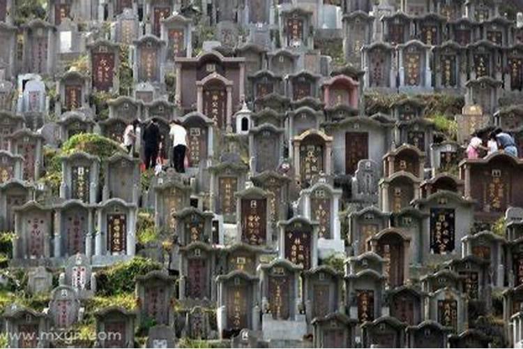 梦见在坟地里睡觉是什么意思