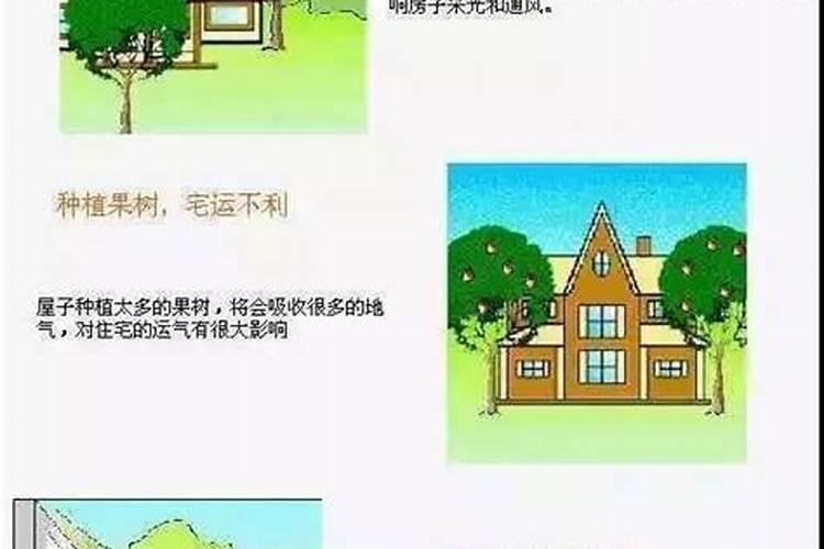 2021年属牛本命年要注意什么犯太岁的禁忌事项