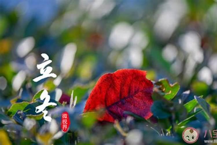 十二生肖表年龄表