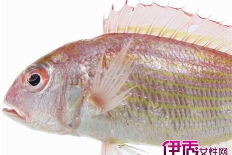 梦见吃鱼很多鱼刺的预兆