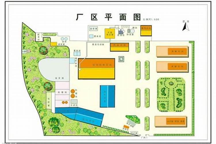 邪骨和仙骨有什么区别啊？