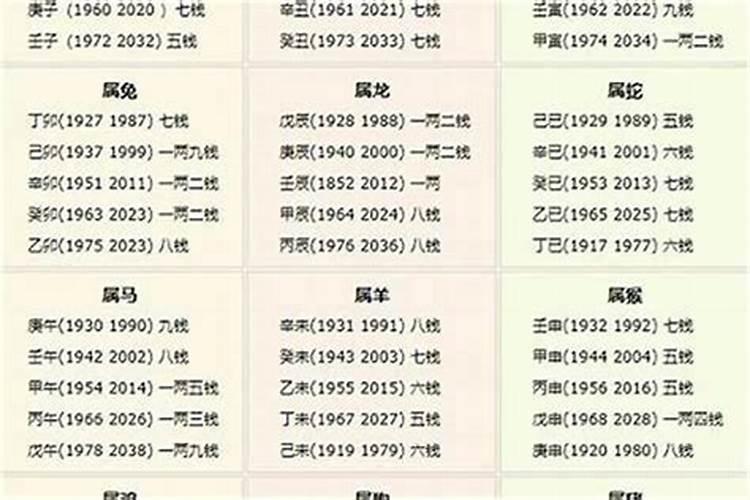 几两几钱算命表