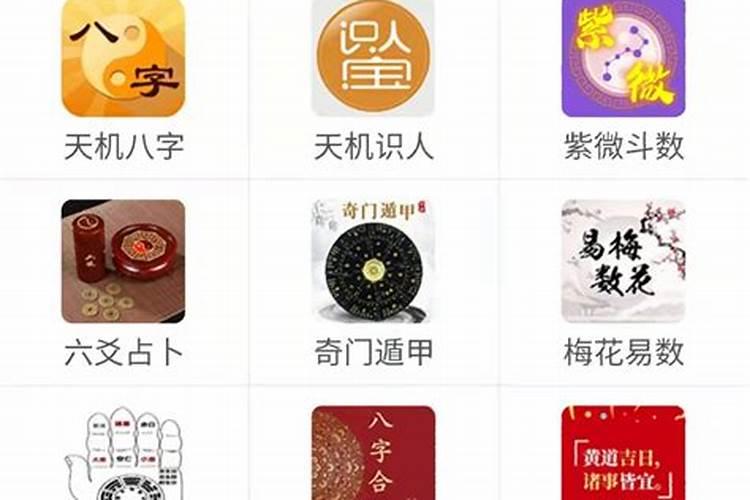 八字排盘四柱八字免费排盘,真正免费八字终身详批