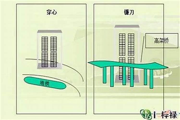 2月28号属狗出生日的命运解析