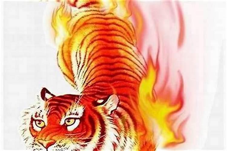 63年出生的属兔的男命2021牛年运气 经济无压力？