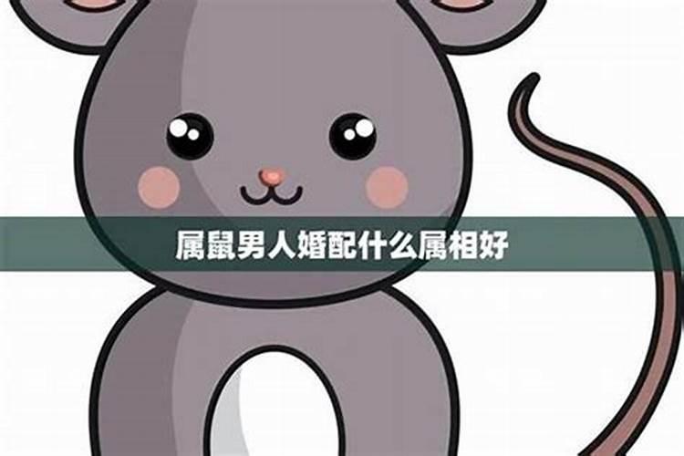 属马男和属鼠的女人合适吗 属马的男人和属鼠的女人婚姻相配吗？