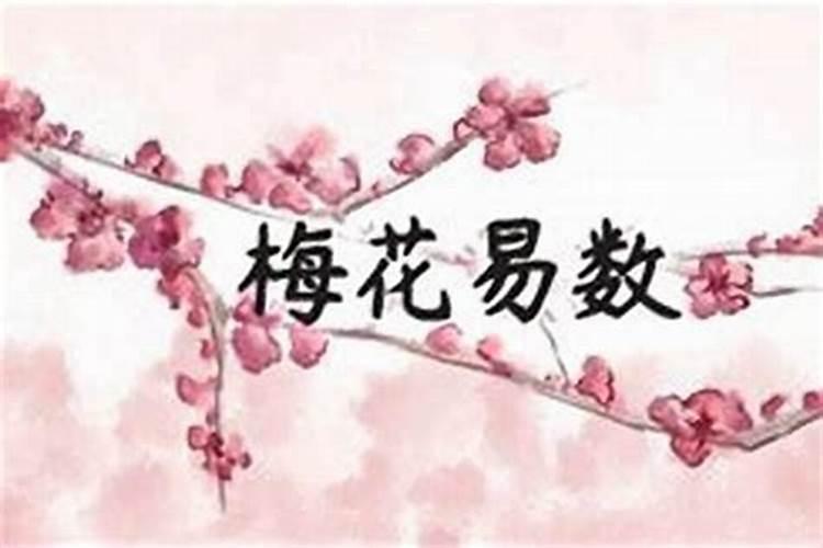 去无为县游玩,能体验到哪些民俗活动？