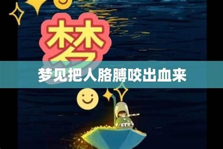 梦见很多马是什么意思