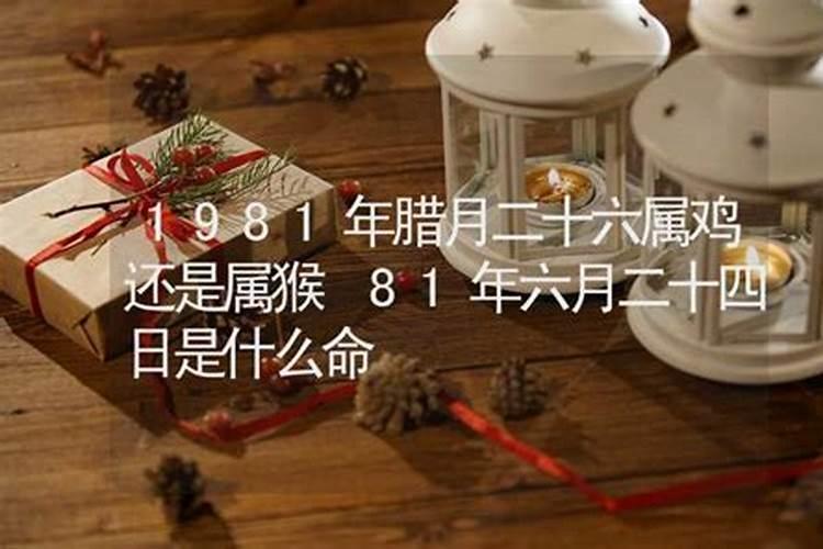 81年农历腊月二十的鸡是什么命？