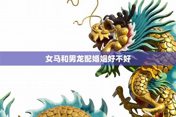 龙和龙属相是否可以婚配吗能过一辈子吗
