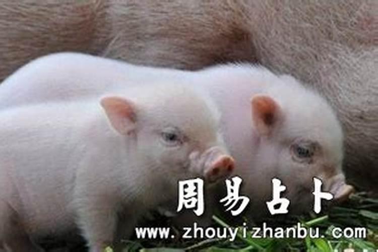 寺庙做超度需要多少钱？