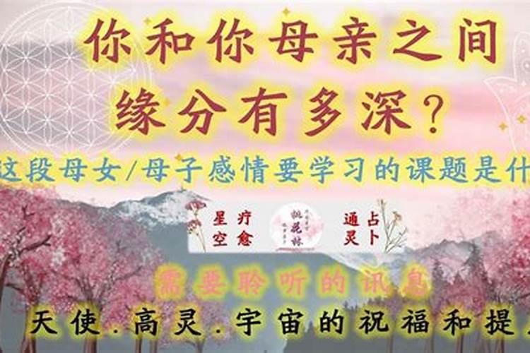 梦见好多葡萄是什么意思