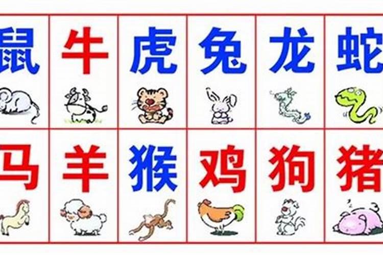 为什么属相方面差4岁最好,相差四岁的属相牛和蛇婚姻配吗？