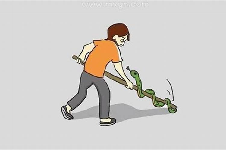 梦见和哥哥一起打蛇的预兆