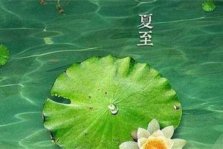 生在立夏节气的孩子好吗 喜水命不墨守成规？