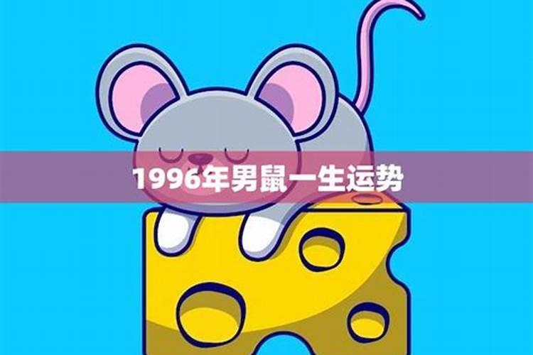 1996年属鼠男孩的爱情运如何