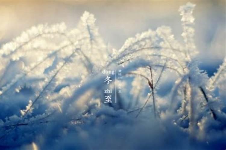 苏州人为什么重视冬至