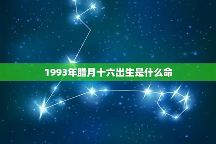 属蛇腊月十六出生的男孩命运如何