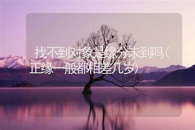 容易情路坎坷和婚姻不顺的生肖女？