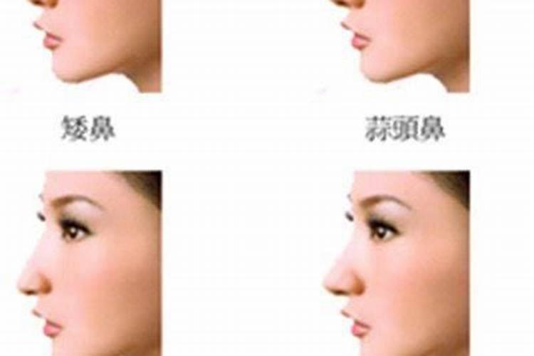 鼻梁低的命运 鼻梁低怎么办呢？