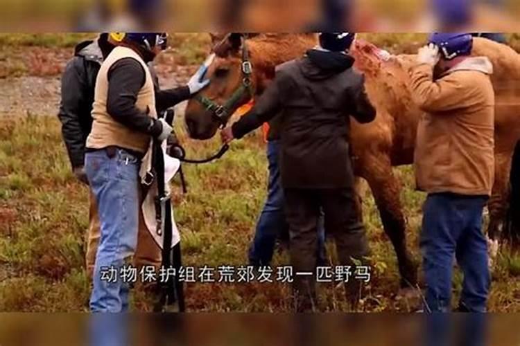 冬至穿红袜子吗？