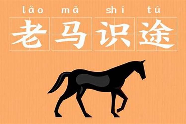 孕妇梦见屎意味着什么？  百度宝宝知道