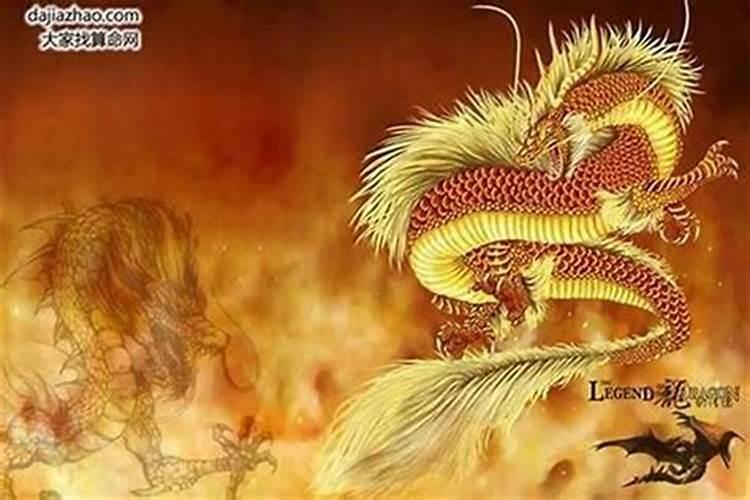 属龙九月初九出生的男孩命运