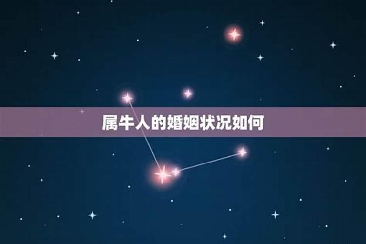 85年属牛的男人婚姻怎么样婚姻感情不太顺利？
