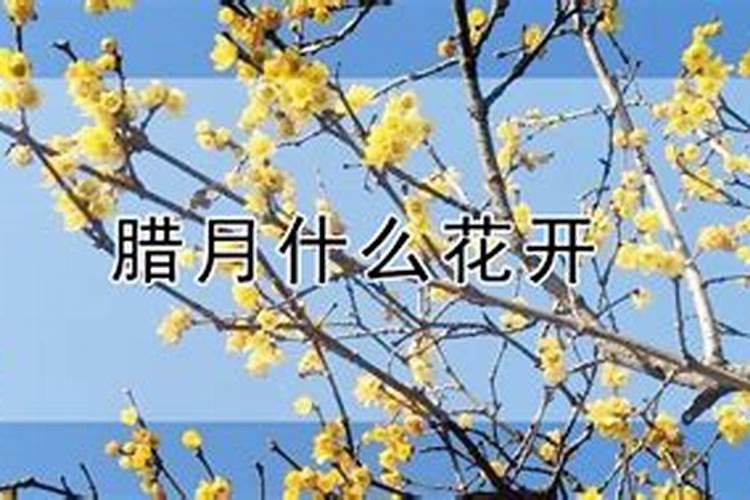 腊月是阴历还是阳历