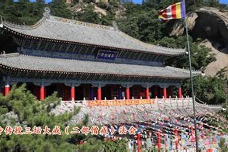 某景区商家喇叭硬核给爬山游客鼓劲,如何看待商家的举动？