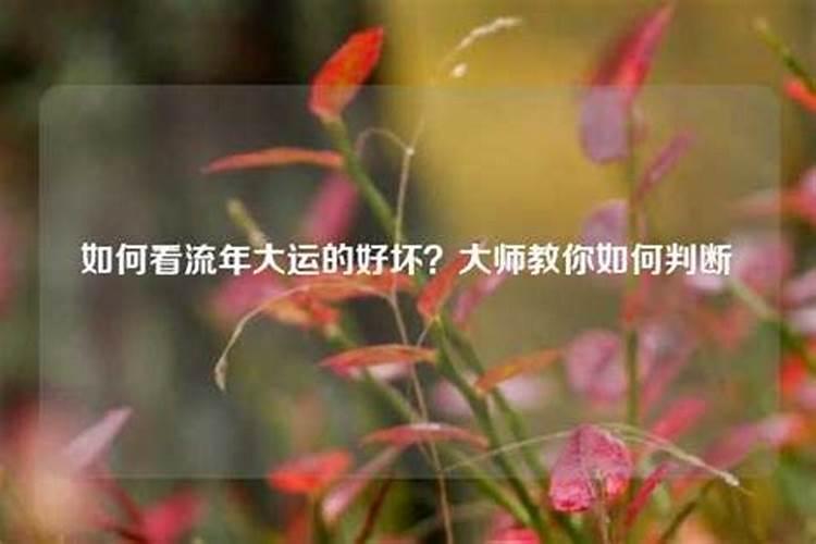 如何看八字缺什么