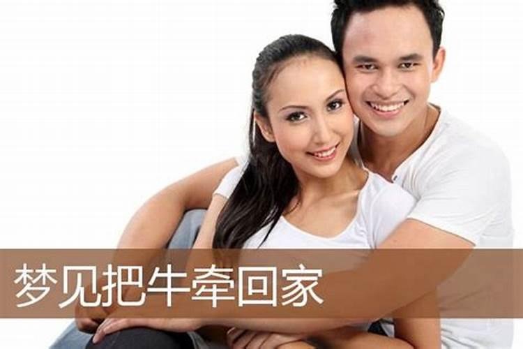 怀孕了梦见老太婆拉了一头牛